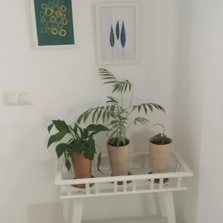 Appartamento Atico Deluxe En El Centro By Lets Málaga Esterno foto