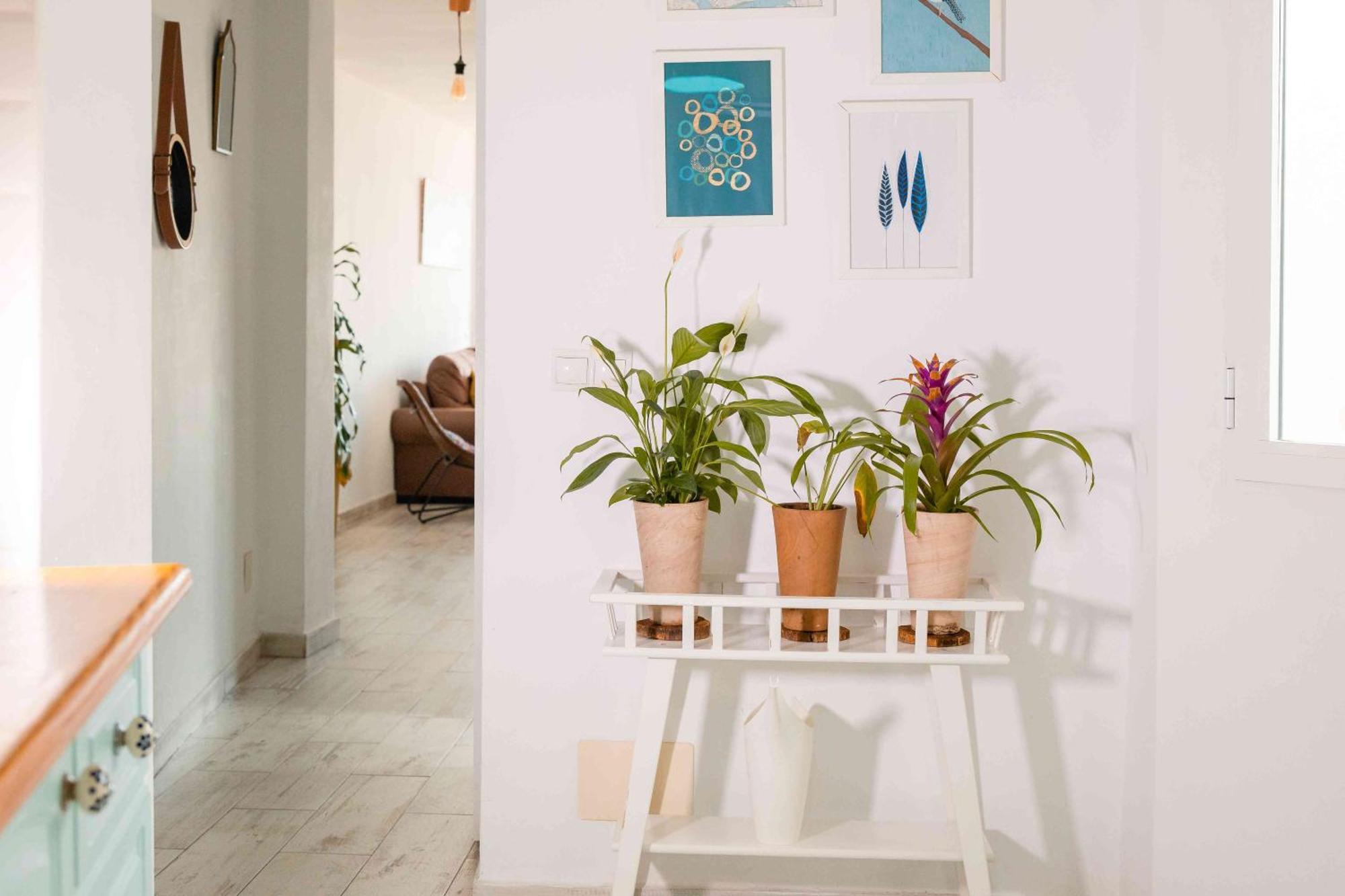 Atico Deluxe En El Centro By Lets Appartement